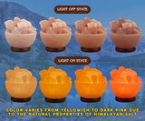 Himalayan Salt Lamp Bowl with Natural Crystal Chunks, Dimmer Cord and Classic Wood Base Premium Quality Authentic from Pakistan