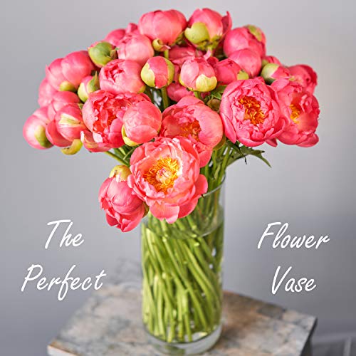 CYS Excel Clear Glass Cylinder Vase (H:12" D:4") | Multiple Size Choices Glass Flower Vase Centerpieces | Hurricane Floating Candle Holder