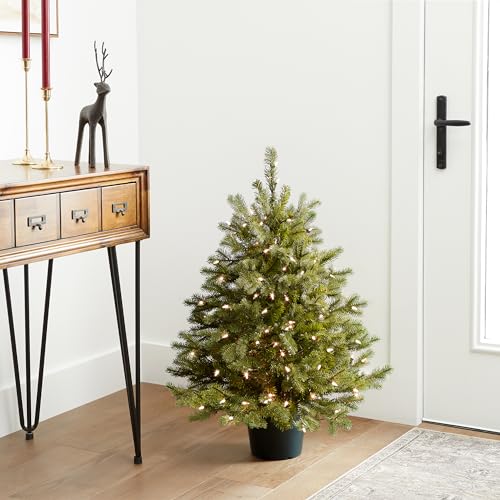 National Tree Company 3 ft Pre-Lit Hampton Spruce Mini Artificial Christmas Tree, 100 Clear Lights, 579 Tips, Green Growers Pot