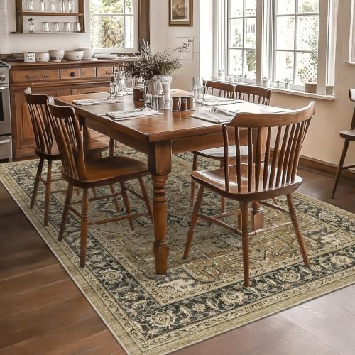 6x9 Area Rug for Living Room Soft Washable Vintage Boho Area Rug