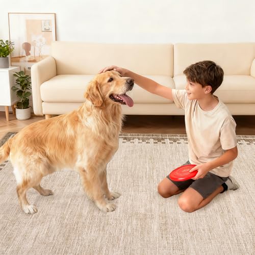 GarveeHome 10x13 Large Area Rug for Living Room Washable Low Pile Carpet