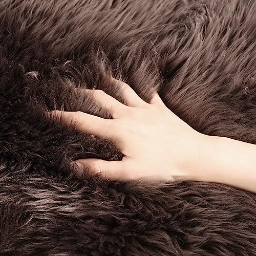 LLB Genuine Sheepskin Area Rug Wool Rug Fur Carpet Fluffy Shaggy Fur Rug for Living Room Kids Bedroom Real Sheepskin Throw Lambskin Rugs Sofa Chair Seat Covers (Chocolate Brown, 2 x 3 ft Sheepskin)