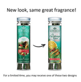 Scentsicles O Christmas Tree Scented Christmas Ornaments with Hooks | 3 Bottles (18 Sticks Total)