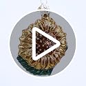 Old World Christmas Sunflower Garden Gifts Glass Blown Ornaments for Christmas Tree, Sunflower 3 Inches