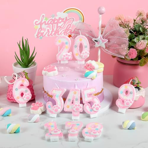 AKURIEEY Dog and Cat 1st Birthday Candle Pink Numbers 1 Candle Paw Cake Topper Cupcake Decorations for Pet Theme Party Decor Anniversary Celebrations Supplies