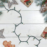 Northlight Mini Christmas Light Set -Clear - 4' Green Wire - 20ct