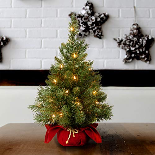 National Tree Company 24 in Pre-Lit Majestic Fir Mini Artificial Christmas Tree, 35 Clear Lights, 71 Tips, Red Cloth Base, Green