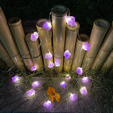 Genuine Amethyst Crystal Decorative Lights Cute Fairy String Lights 10ft 30 Natural Stones with Remote for Bedroom Hanging Ornaments Reiki Party Night Light Wedding Room Décor Mother's Day Gift