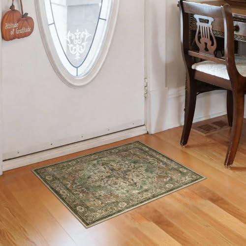 Washable Non-Slip Small Area Rug 16x24, Also a Door Mat or Pet Feeding Mat