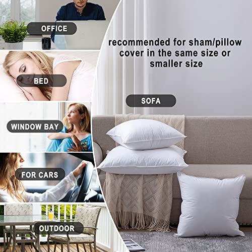 HITO 12x20 Pillow Inserts (Set of 2)- 100% Cotton Covering Down Alternative Throw Pillows White for Couch Bed Sofa