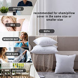 HITO 12x20 Pillow Inserts (Set of 2)- 100% Cotton Covering Down Alternative Throw Pillows White for Couch Bed Sofa