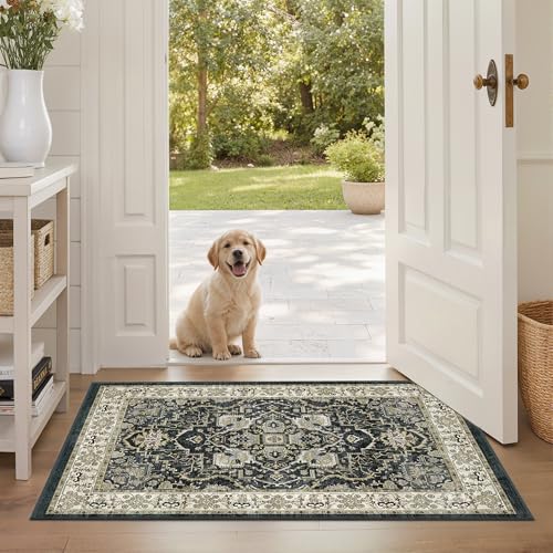 2x3 Non-Slip Washable Entryway Vintage Carpet Rug, Black