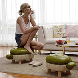 Animal Footstool Turtle Upholstered Pu Leather Pouf, Shoe Changing Stool Sofa Footrest Living Room Storage Stool Footstool with Storage/Green/25 * 66 * 35