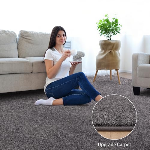 Keeko 3x5 Area Rugs for Living Room,Soft Washable Memory Foam Bedroom Rug