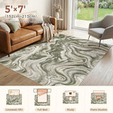 5x7 Area Rug for Living Room Washable Abstract Indoor Carpet