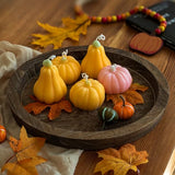 Hanobe Wooden Tray for Coffee Table, Decorative Round Candle Holder Plate