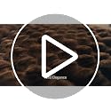 WDCOZY Cheetah Leopard Print Bubble Throw Blanket, Luxury Faux Rabbit Fur Mink Plush Throw for Couch, Sofa and Bed, Soft Fluffy Fuzzy Cozy Blanket for Women, 50x60 inches, Chocolate Brown, 950 GSM