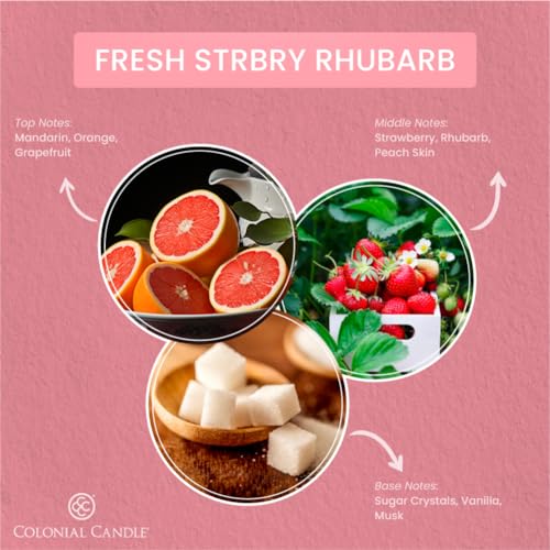 Colonial Candle Fresh Strawberry Rhubarb Scented Jar Candle, 2 Wick, 3.5 oz, Mottled Wax Candle