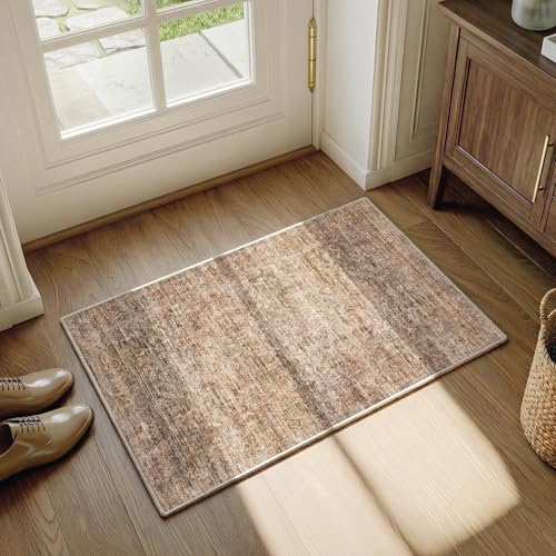 FMFUNCTEX 2x3 Washable Terracotta Vintage Distressed Oriental Entryway Rug