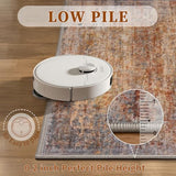 Tangsoo Abstract 2x3 Washable Rugs for Entryway, Small Area Rug Non Slip
