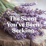 Yankee Candle Dried Lavender & Oak Scented Candle, 20oz Large Tumbler