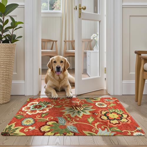 Lahome Red Kitchen Rugs - 2'x3' Small Entryway Rug Washable Kitchen Mat