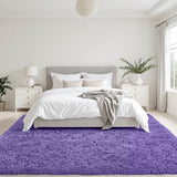 6x9 Fluffy Shag Area Rugs for Living Room Bedroom: Soft Plush Carpet Purple