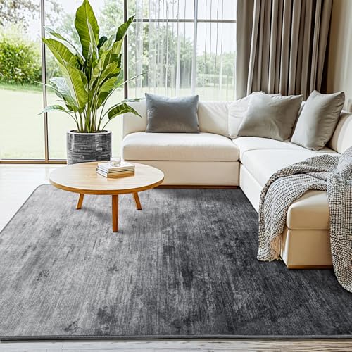 4x6 Washable Area Rug, Gray Solid Area Rugs for Living Room & Bedroom