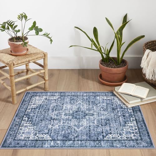 2x3 Small Washable Area Rug Entryway Door Mat Indoor Kitchen Runner