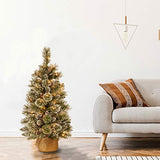 National Tree Company 3 ft Pre-Lit Glittery Bristle Mini Artificial Christmas Tree, Pinecones, 35 Clear LED Lights, 144 Tips, Timer, Burlap Base, Green