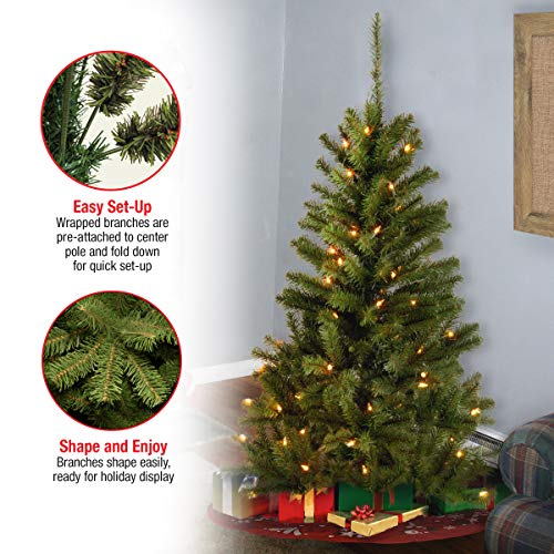 National Tree Company 4 ft Pre-Lit Grande Canadian Fir Mini Artificial Christmas Tree, 100 Clear Lights, 230 Tips, Includes Stand, Green