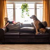 Fuloon Faux Leather Couch Cushion Slipcover, Waterproof Stretch Covers for Sofa, RV Chair Seat Cover, Individual Loveseat Couch Cushion Replacement, PU Leather Sofa Slipcovers(3 Pack, Brown)