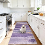 2x6 Runner Rug for Hallway Kitchen: Modern Abstract Throw Rugs