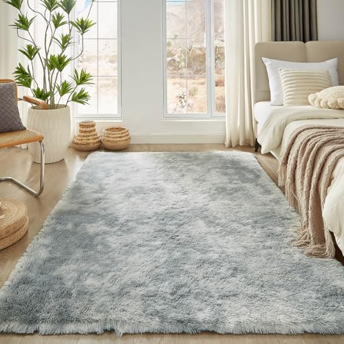 Floralux Rugs for Living Room, 6x9 Large Shag Area Rug, Tie-Dyed Light Grey Soft Fluffy Carpets for Bedroom