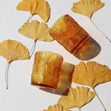 Woho 12pcs Amber Votive Candle Holders, Tealight Holder for Thanksgiving