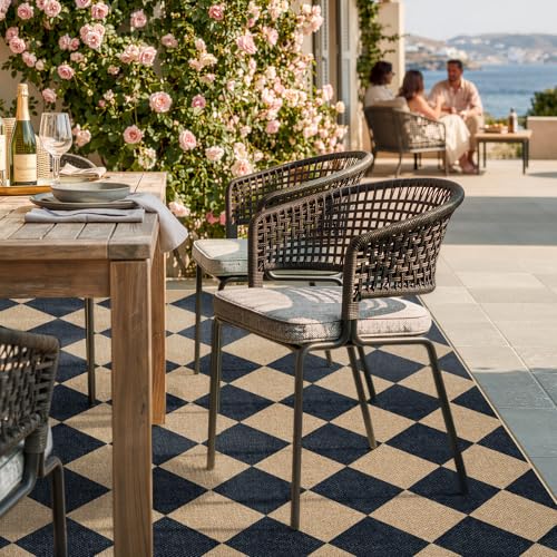 Lahome Checkered Easy Jute Outdoor Patio Rug, 8x10 Living Room Rug Washable