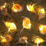 Starryfill Ocean Real Conch 10 LED String Lights 9.0Ft Waterproof Battery Operated Warm White with Timer for Beach Themed Indoor Covered Outdoor Birthday Wedding Parties Decoration