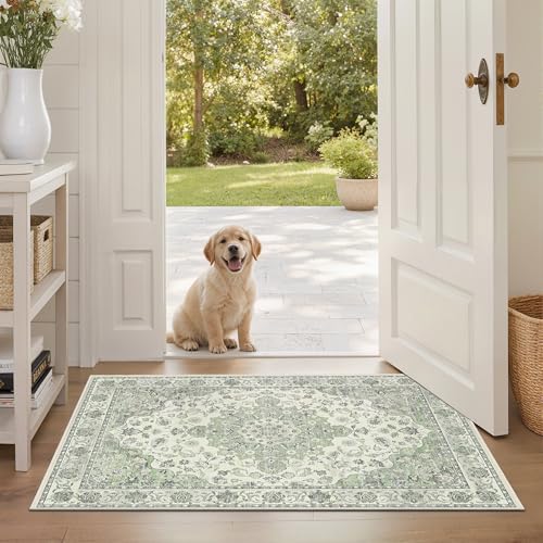 2x3 Non-Slip Washable Entryway Vintage Carpet Rug, Sage Green