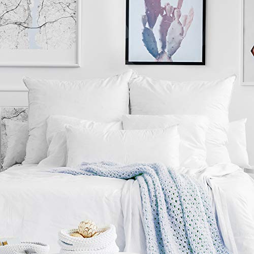 Nestl Throw Pillows for Couch, 12x18 Pillow Insert, Soft Throw Pillow, Lightweight 12x18 Pillow Inserts, Machine Washable Sofa Pillows, White Throw Pillows Premium Throw Pillow Insert 12x18 Set of 2