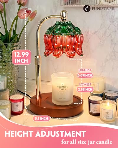 Strawberry Candle Warmer Lamp with Timer & Dimmable Brightness, House Warming Gift New Home, Candle Warming Gift for Mothers Day, Birthday Gifts for Women Mom,Flameless Wax Melt Warmer for Jar Candles