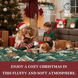 Christmas Rug 4x6 Area Rugs for Living Room Bedroom, Green