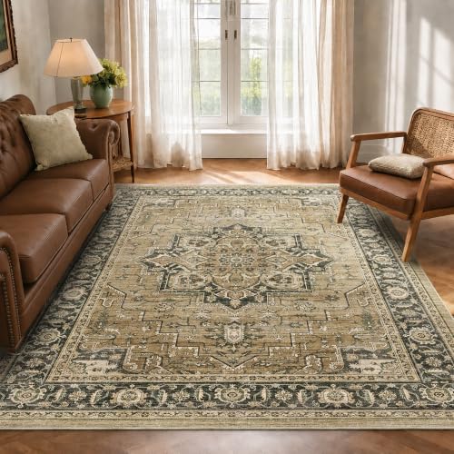 6x9 Area Rug for Living Room Soft Washable Vintage Boho Area Rug