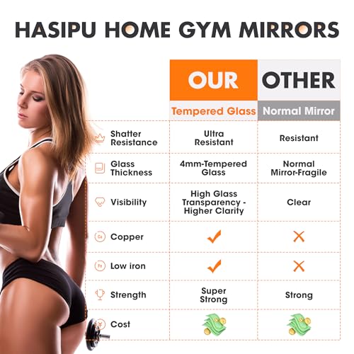 Hasipu 71" x 24" Led Mirror Full Length Home Gym Mirror 55"x21"(Each)-2 PCS