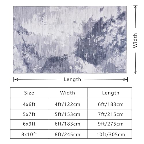 Area Rug 4x6 Light Grey Rug Washable Boho Rugs Non Slip Low Pile Abstract Small Carpet for Entryway, Bedroom, Kitchen, Classroom, Kids Room, Office, Dorm, Dining Room