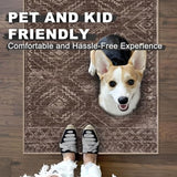 Small Area Rug 3'x5' Entryway Rug Washable Rugs, Chocolate Brown