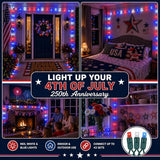 Novelty Lights 50 LED 25ft Red White Blue Lights, USA Patriotic 4th of July String Lights, Wide Angle Mini Lights on Green Wire, Commercial Grade, Connectable Indoor Outdoor Christmas Lights