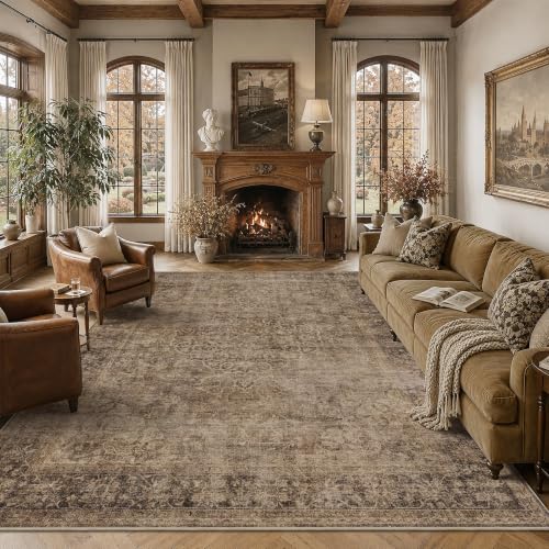 HelloTree 8x10 Vintage Washable Living Room Area Rug