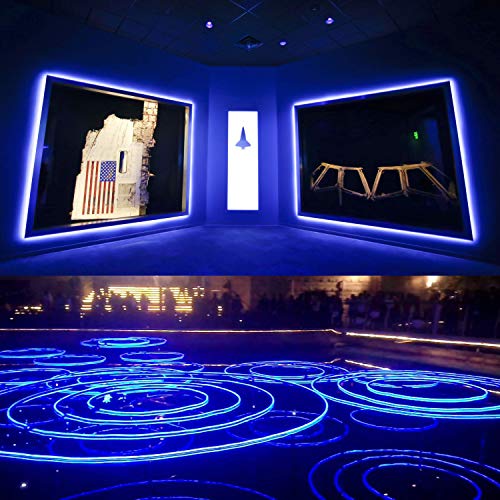50FT/15M LED Neon Rope Lights, Blue AC110V-120V Neon Strip Light, 8x16mm Connectable Flexible Waterproof SMD2835 120LED/M Indoor Outdoor Light Strips, DIY Lighting Decoration