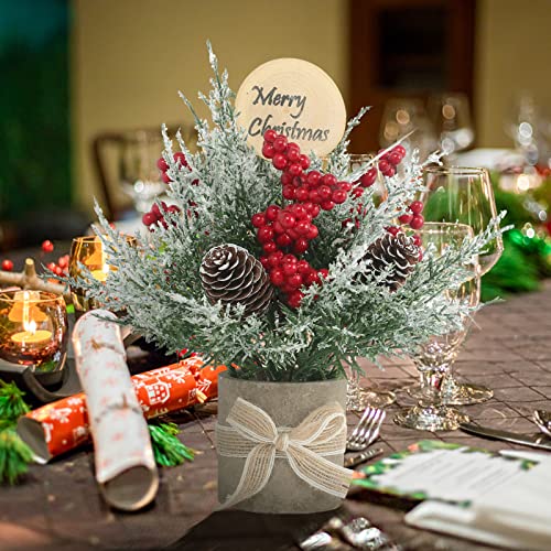 JIALEIXI 2PCS Small Christmas Tree,Tabletop Mini Xmas Tree,9" Artificial Little Potted for Christmas Decor,Suitable for Weddings, Holidays, Christmas and Other Festivals.(Red/Green)