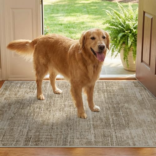 2x3 Area Rug Washable for Entryway: Throw Abstract Neutral Rugs TanBrown